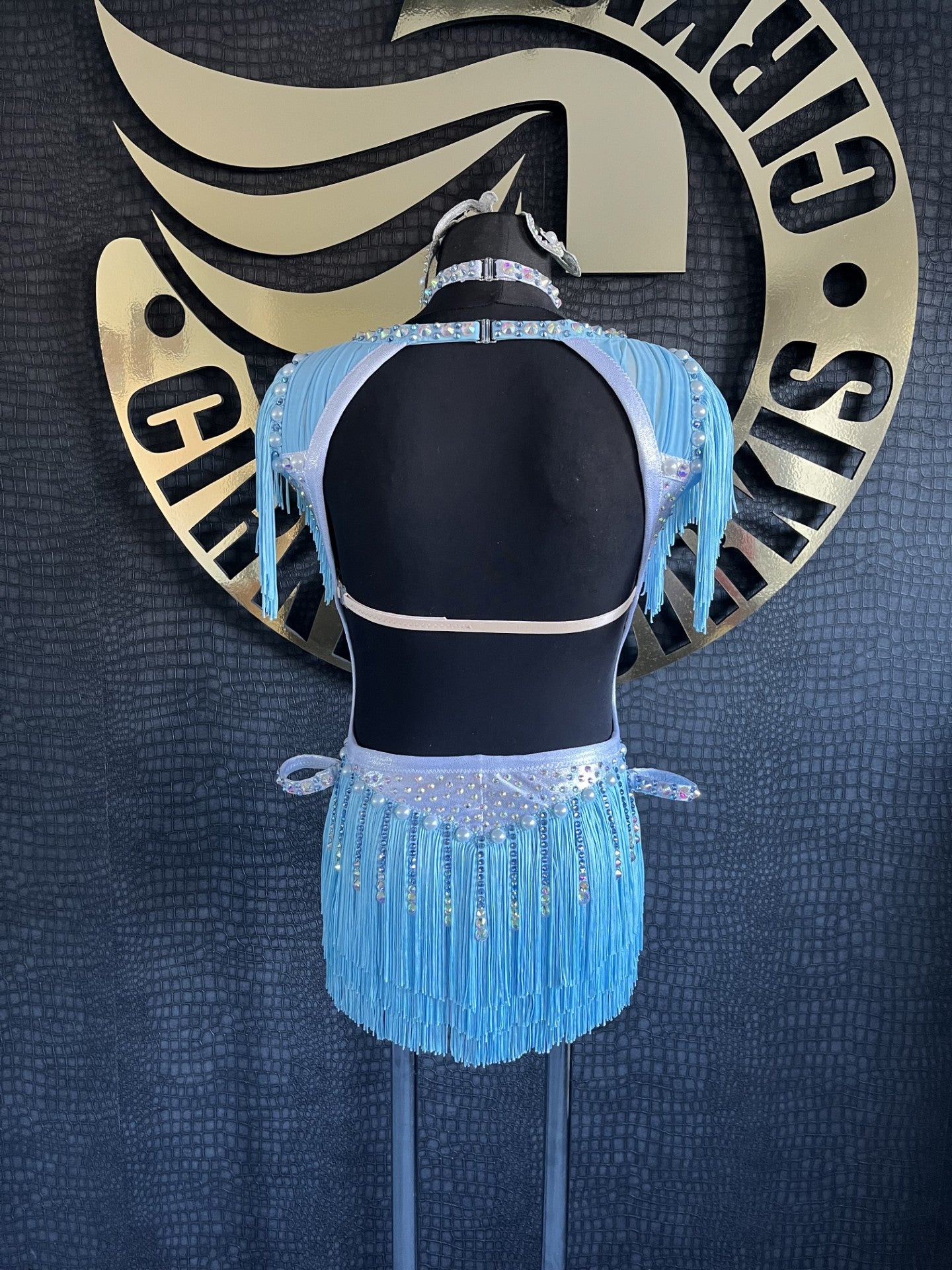 Age 9-11 Years, Ice Blue & Silver Stage Costume