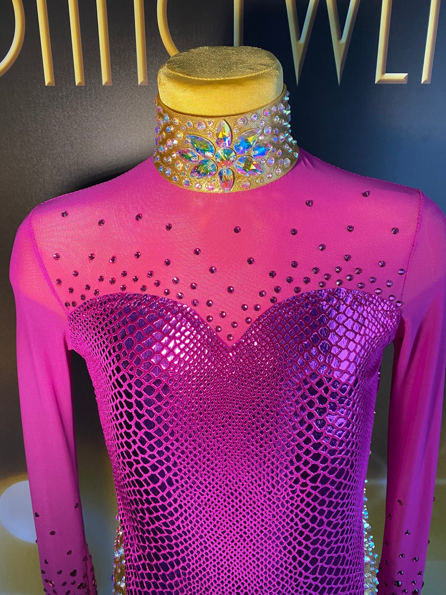 Age 9-11 Acro Style Catsuit Costume.