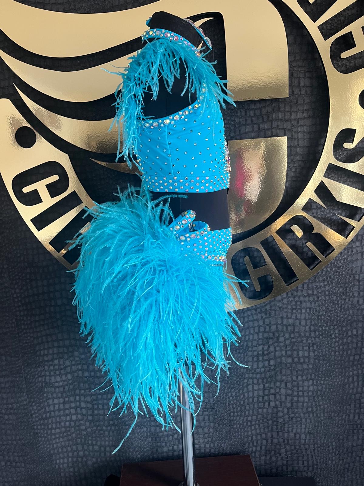 Age 7-8 years Blue Paradise Ostrich Feather 2 Piece Stage Costume