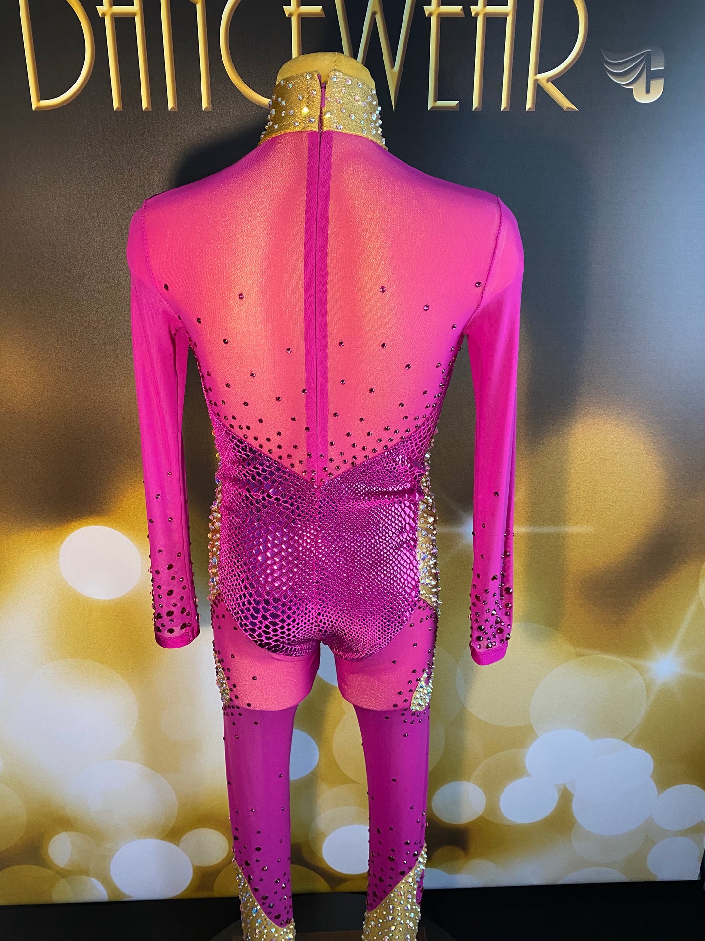 Age 9-11 Acro Style Catsuit Costume.